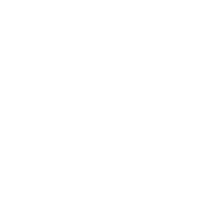 Top 1 Philippine IT Distributor